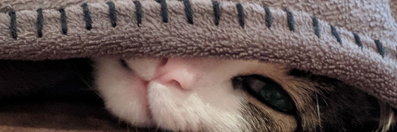 Jenny-P 🇨🇦 🌻 banner