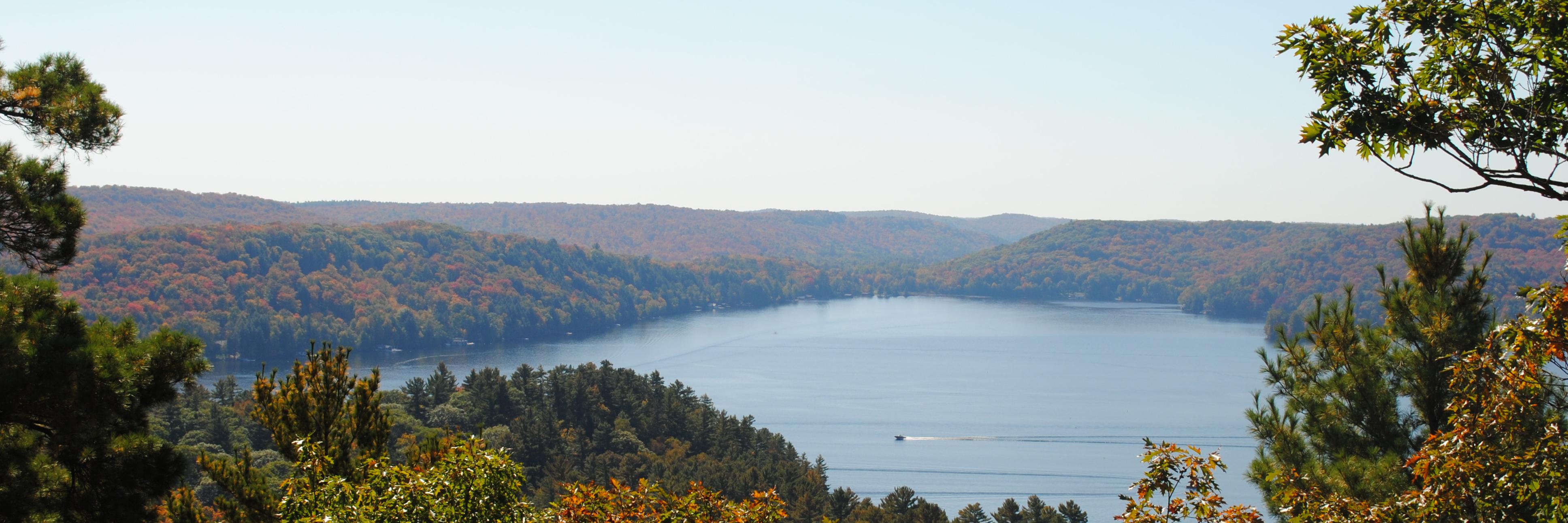 Jennifer Cooper (she/her) banner