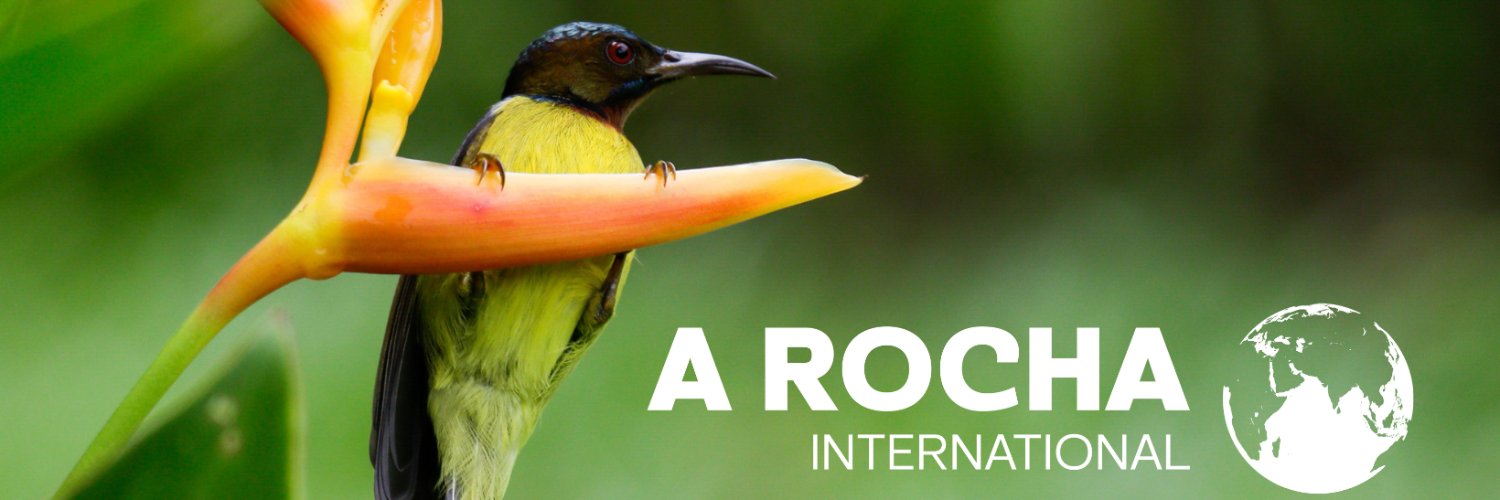 A Rocha International banner