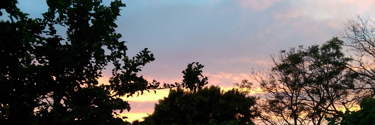 MissKris117's profile banner image