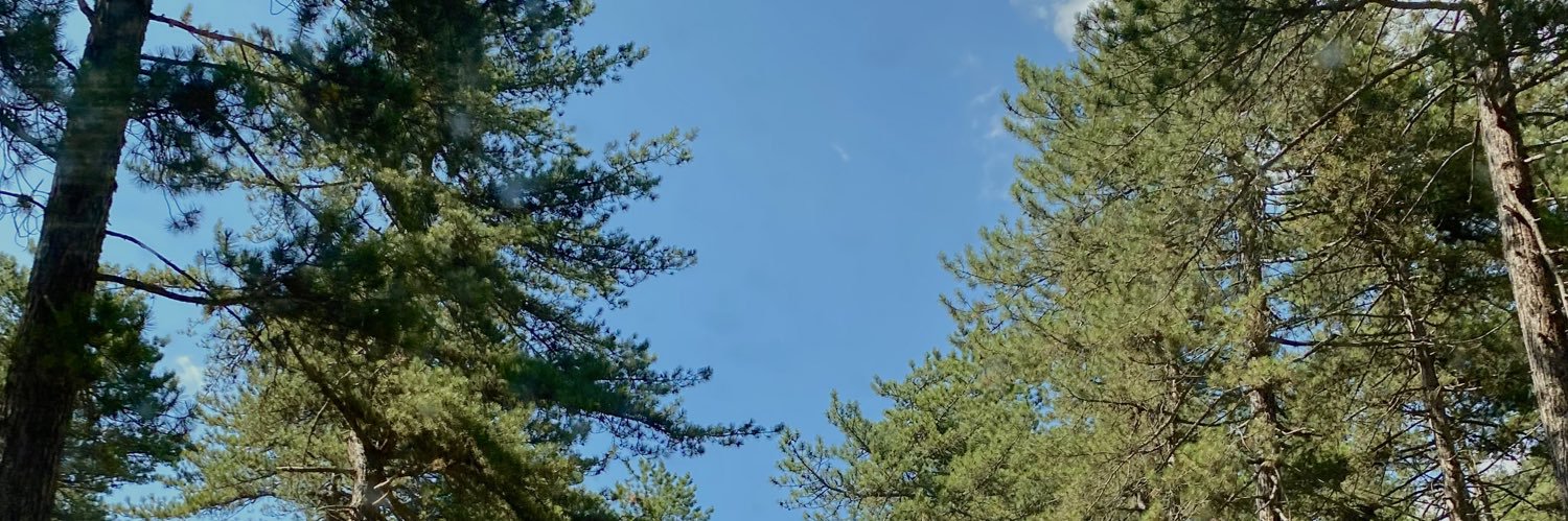 sumeyyecdrgl's profile banner image