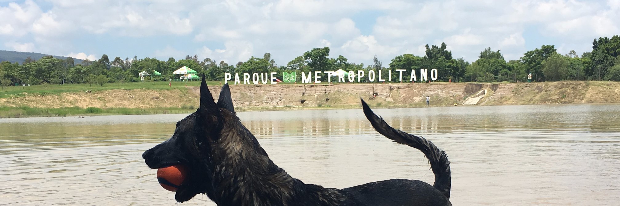 arrutime's profile banner image