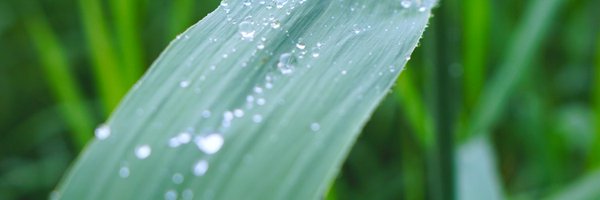 karlv81 Profile Banner