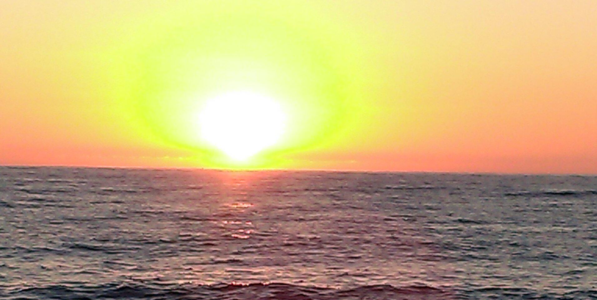 Mireia Llonch Batlle banner