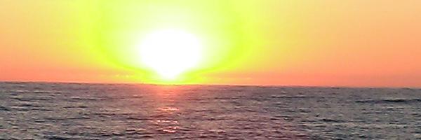 mirellonch Profile Banner
