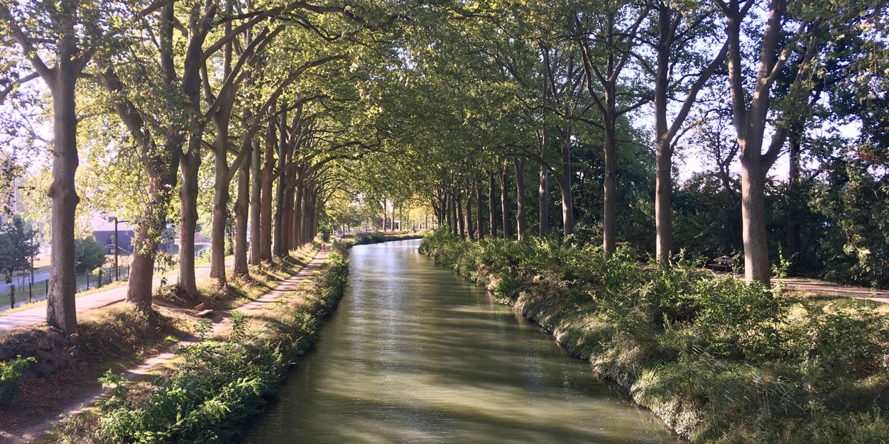 vnoel's profile banner image