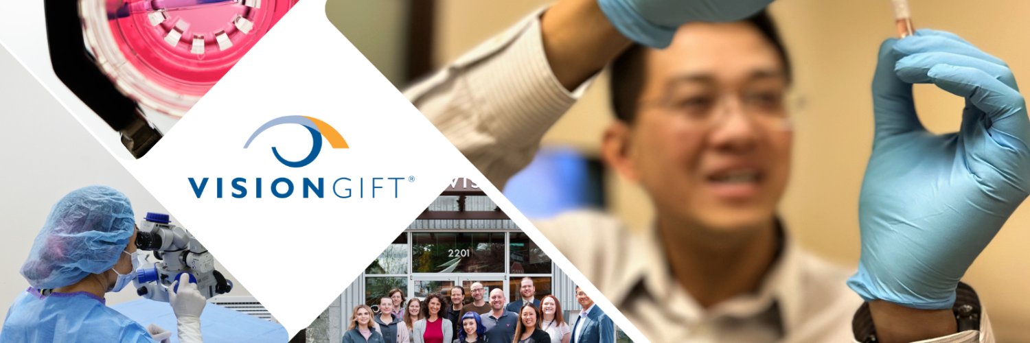 TheVisionGift's profile banner image