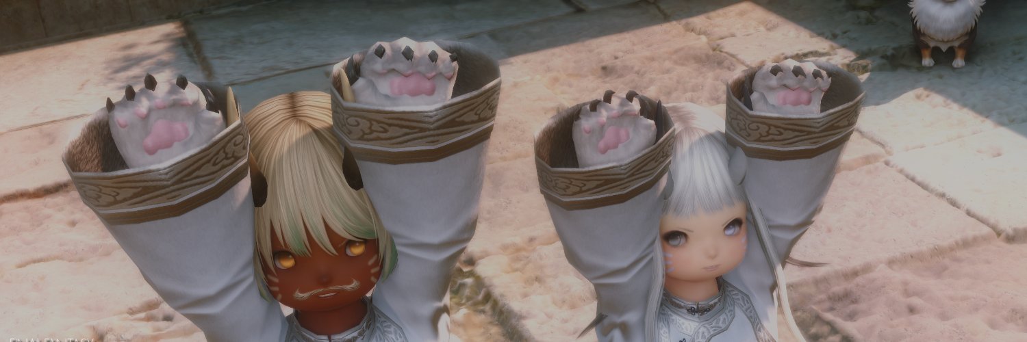 ボ banner