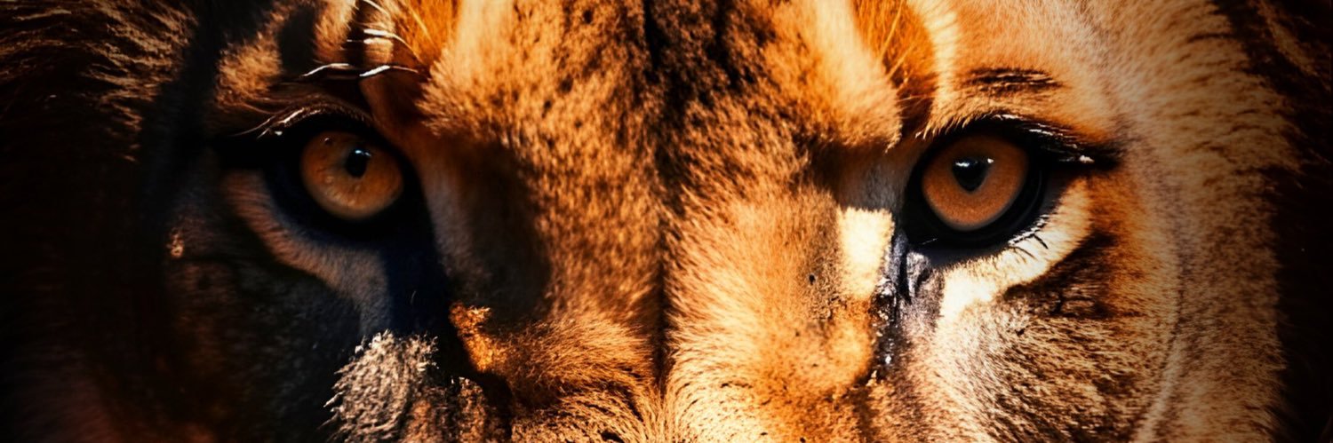 mawuli_king's profile banner image