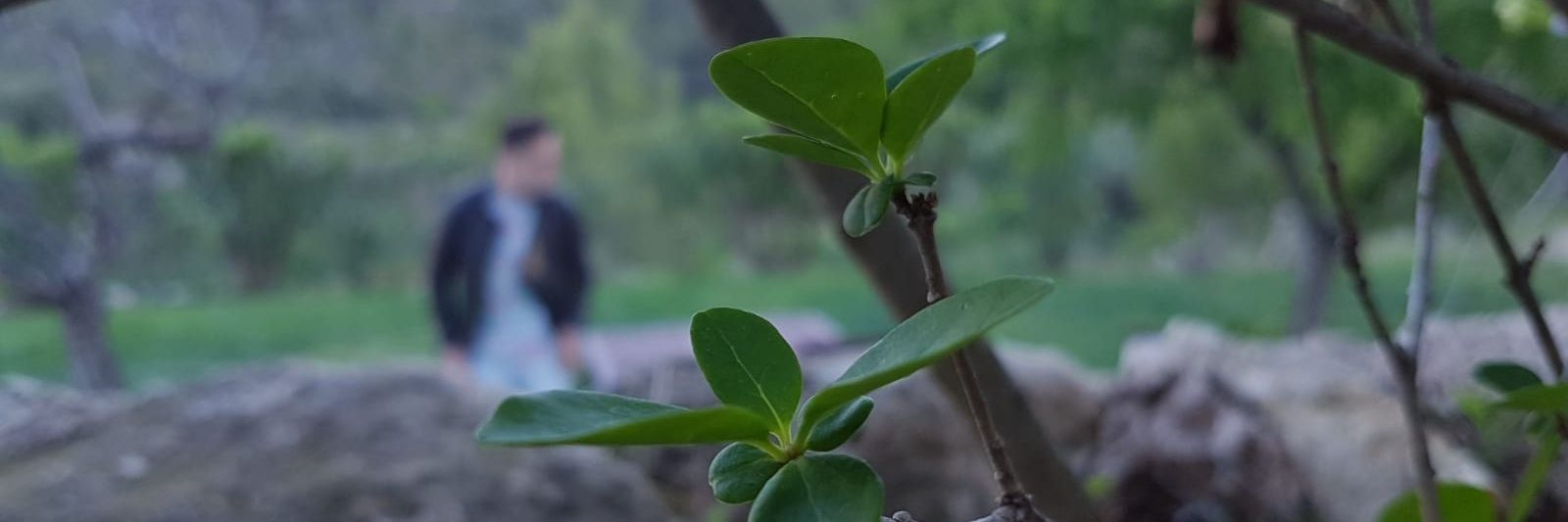 Marc Libiano Pijoan banner