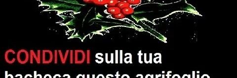 birba_ste's profile banner image