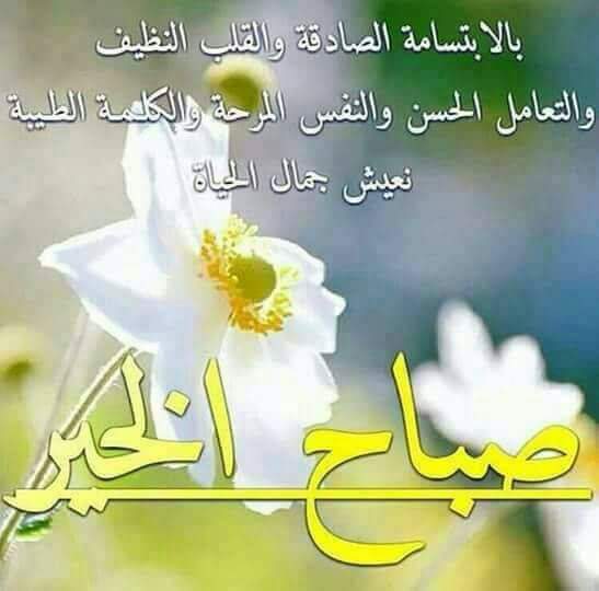 AdelAdelemam372's profile banner image
