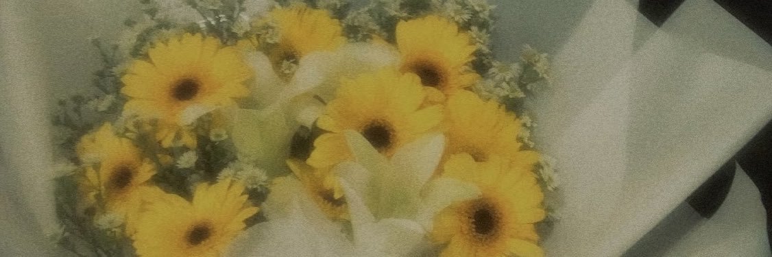 daisy ☽̶☾ | #FUCKSM banner