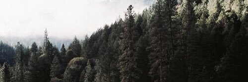 ConsCocoa's profile banner image