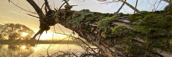 ConradReding Profile Banner