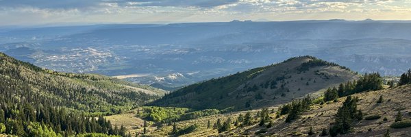 ml_nf Profile Banner