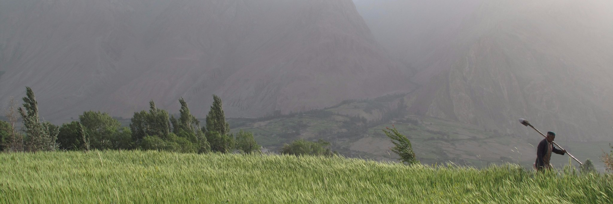 JamilaHaider's profile banner image