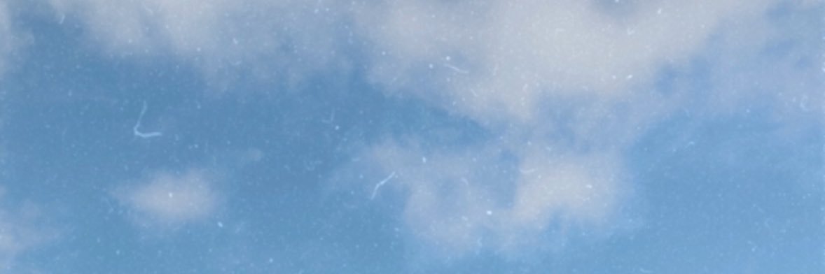 LeaCharlotte_ banner