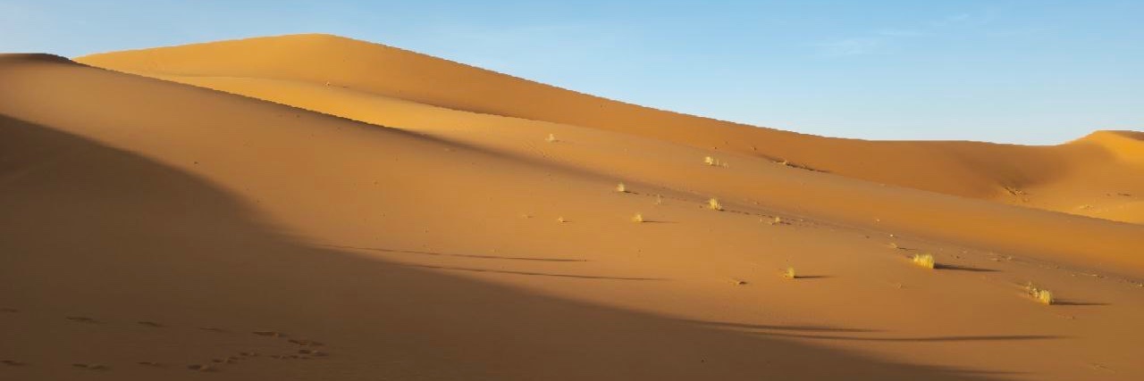 EOT_CA's profile banner image