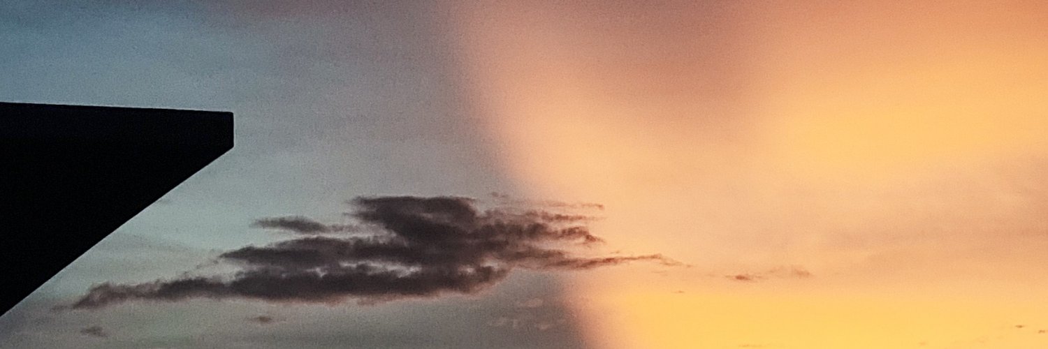 LeoNguyenMA's profile banner image