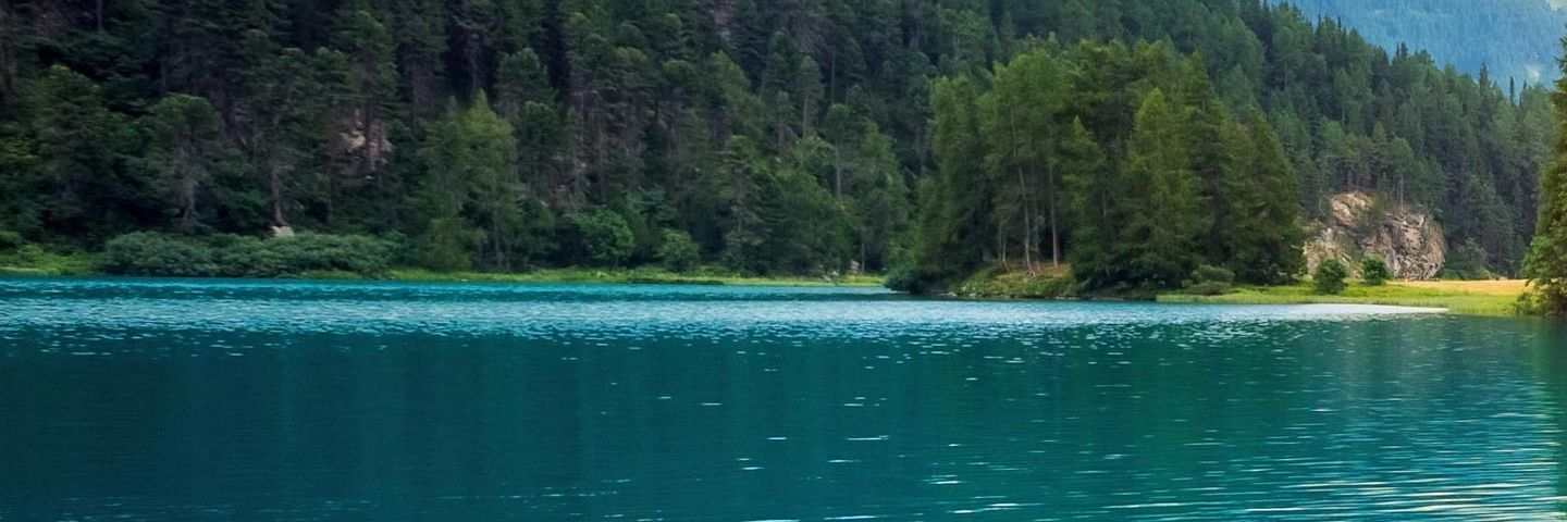 PapaNyoni's profile banner image