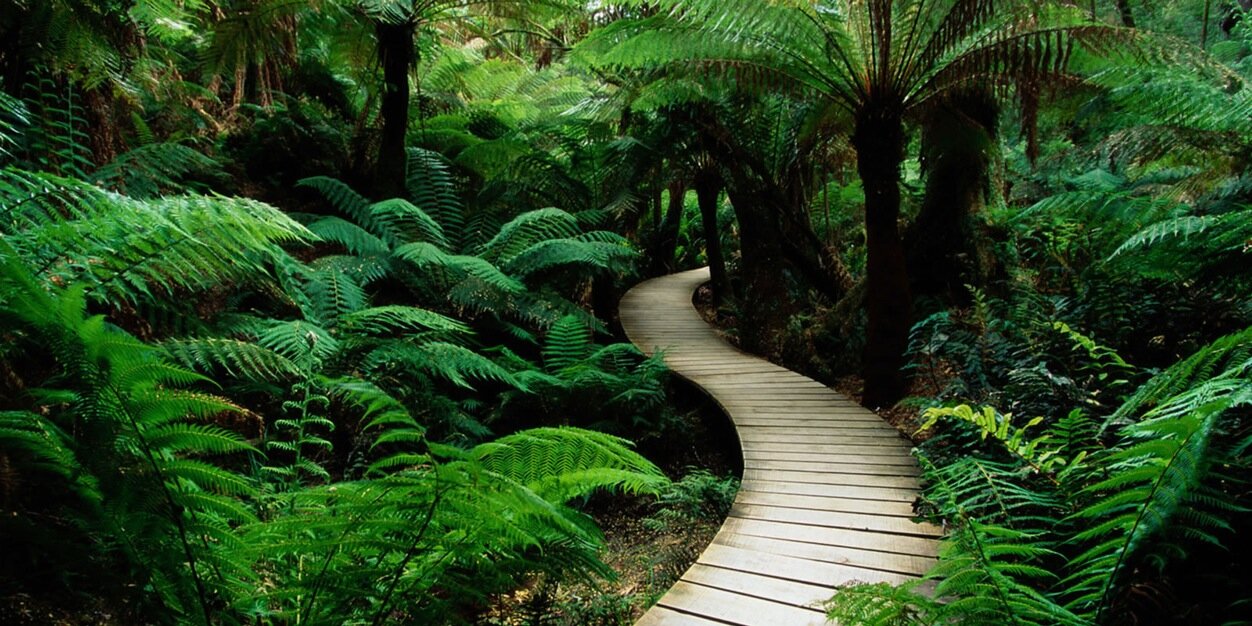 Nature Pics banner