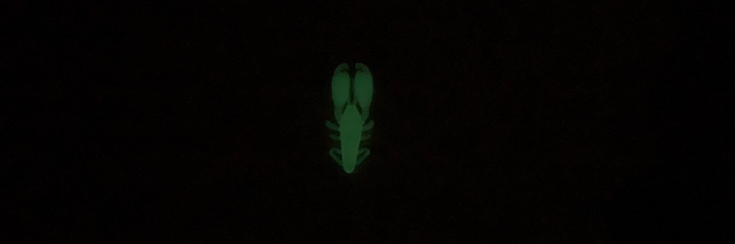 monster_0809's profile banner image