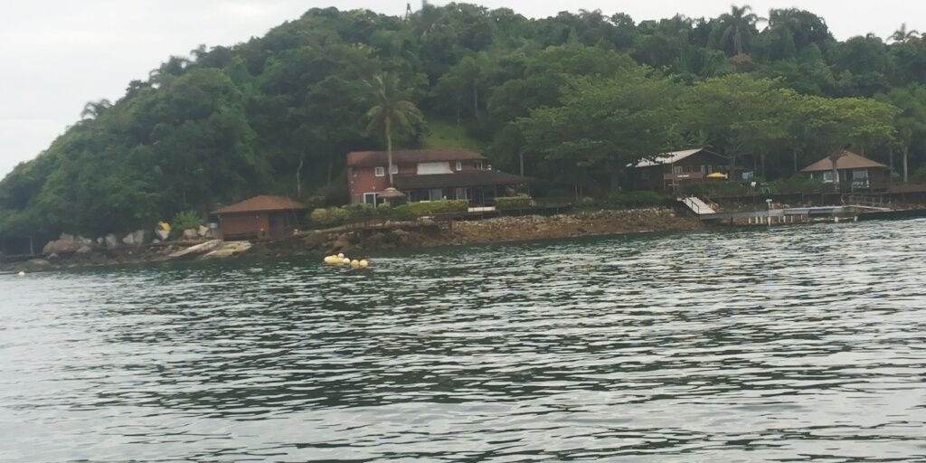 beatrizleal_'s profile banner image