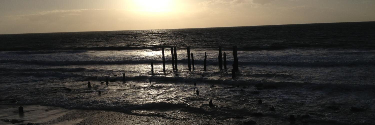 Zannie Flanagan banner