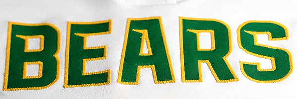 BaylorSoftball Profile Banner