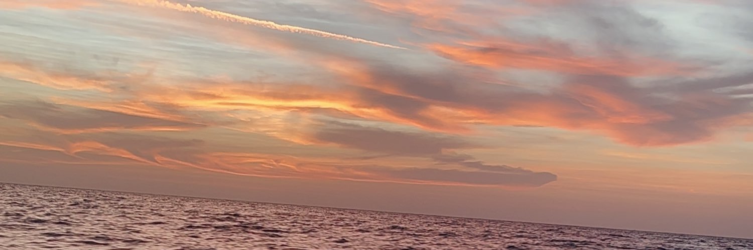 Cami 🇨🇱 banner