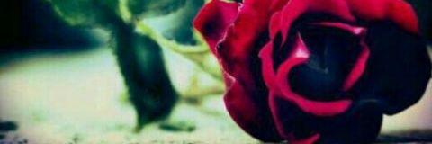 lloz_x's profile banner image