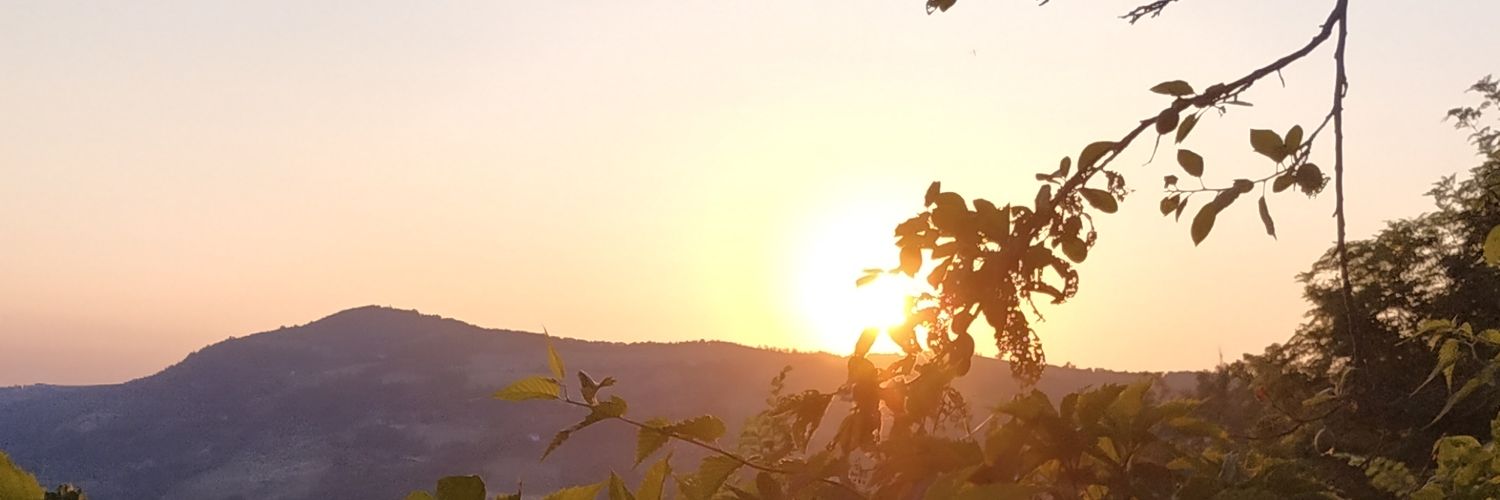 silvergold666's profile banner image