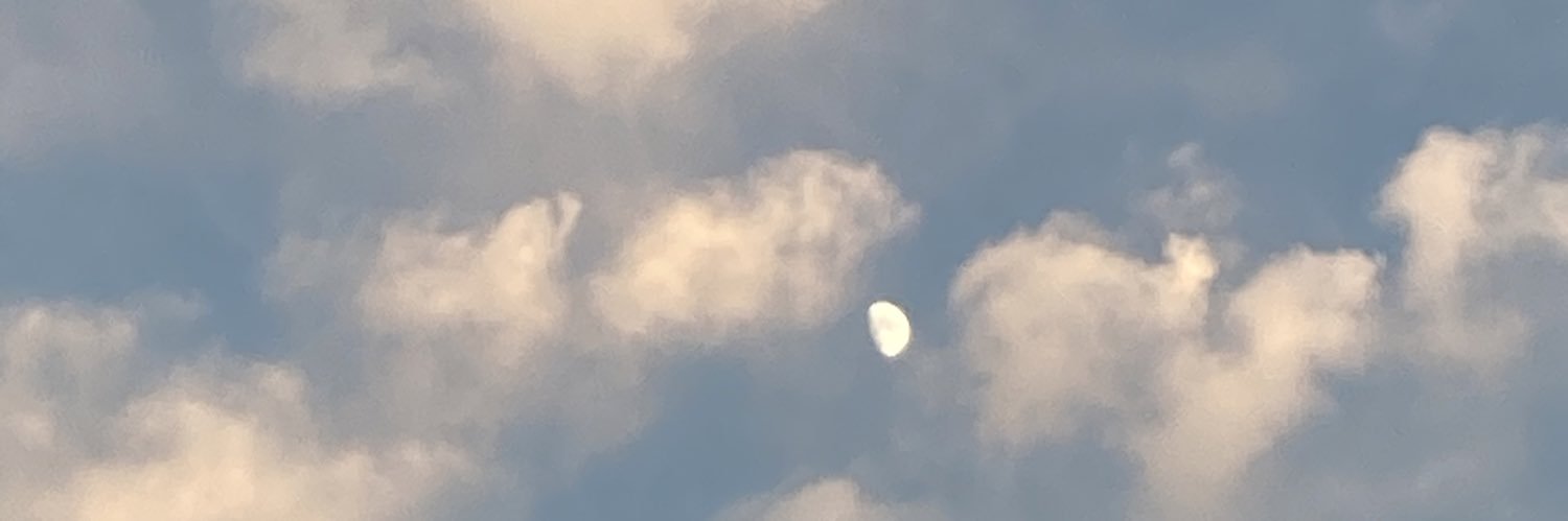 busraemenn's profile banner image