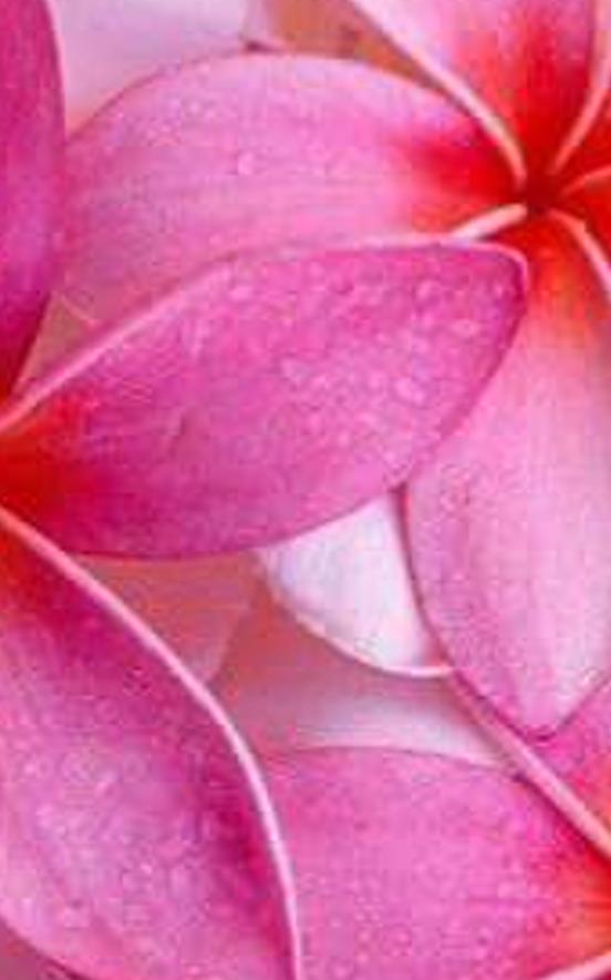 rommiipaz's profile banner image