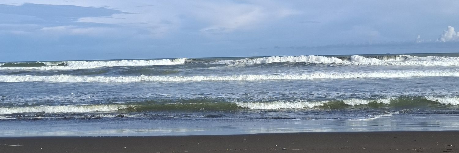 bing🧚🏻‍♀️| masih pcd🐻🐝🐢 banner