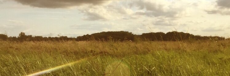 i_ya_b's profile banner image