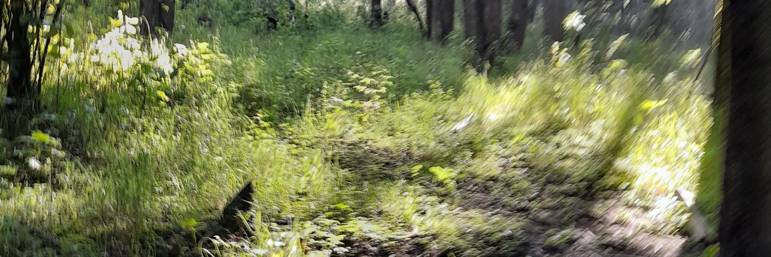 galilei69's profile banner image