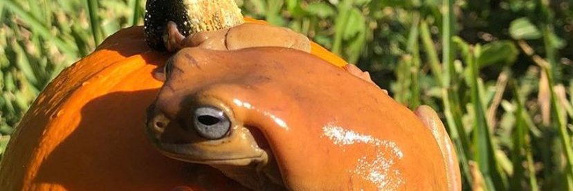 thenarbys's profile banner image