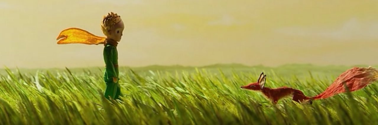 tefi1104's profile banner image
