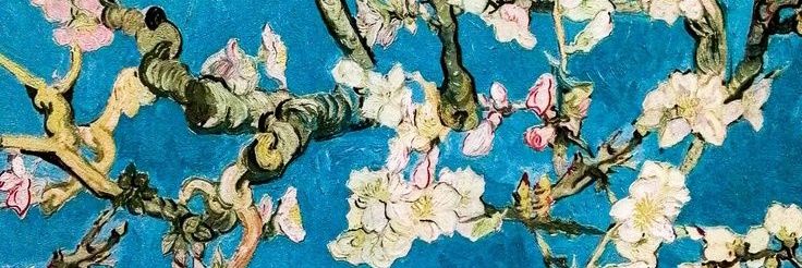 EmmRosas's profile banner image