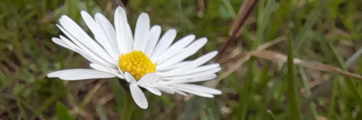 ftmglbkr's profile banner image