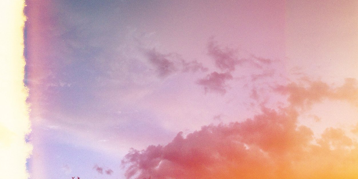 omgbroooke's profile banner image