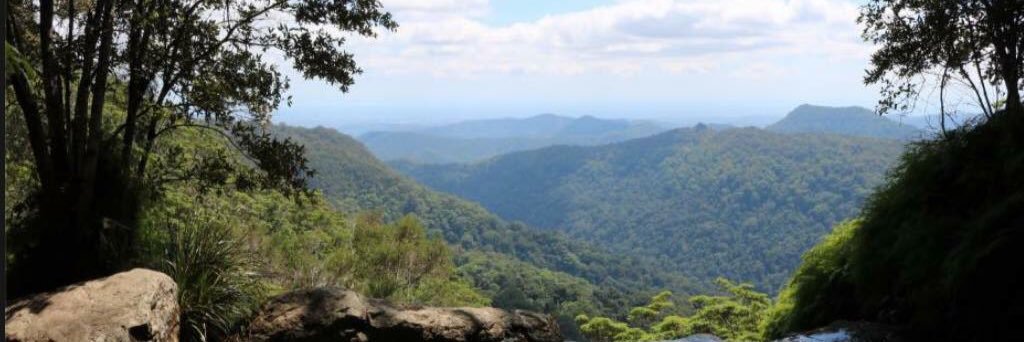 Beth Edwards Mozie banner