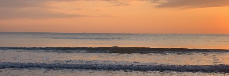 BiancaFaifer's profile banner image