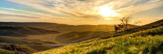 Sonoma County Cannabis Alliance banner