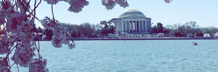 lmoooo1990's profile banner image