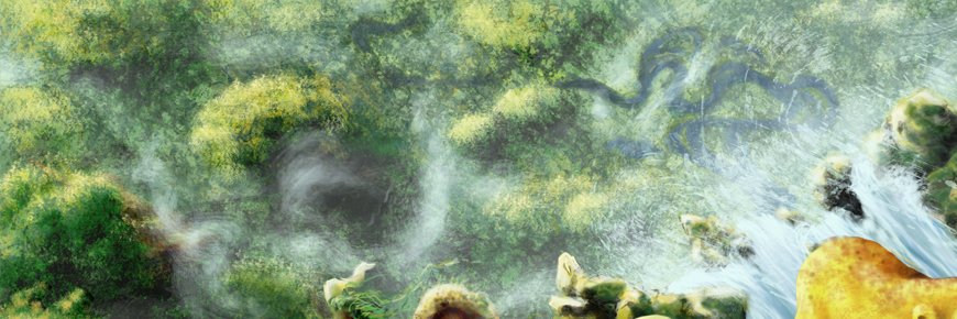 Anna Molla banner