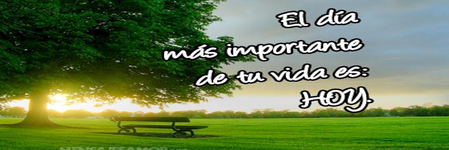 VIDAESHOY's profile banner image
