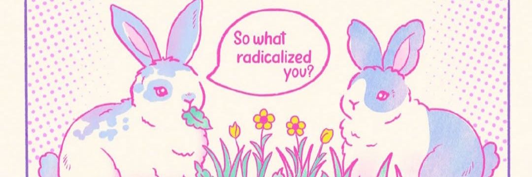 staseranonesco's profile banner image